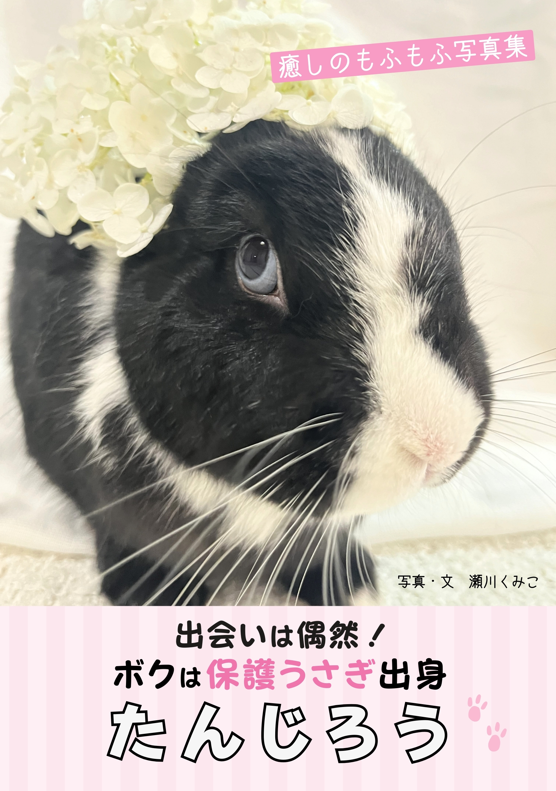 動物写真集　出版